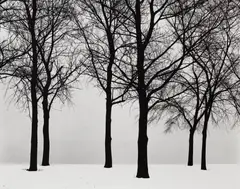 Chicago by Harry Callahan, 1950, Gelatin silver print, printed later, sold Oct 2024