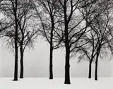 Harry Callahan, Chicago