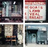 Zoe Leonard, Selected Images from Analogue