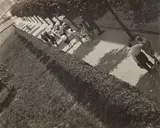 Alexander Rodchenko, The Central Park Of Culture And Leisure, Alley
