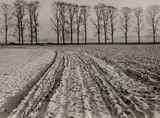 Albert Renger-Patzsch, Winter Landscape Near Kaiserwerth