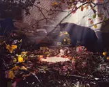 Gregory Crewdson, Untitled, 1998, Chromogenic print