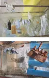 Jan Groover, Selected Images, 2001, Two inkjet prints