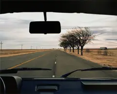 Jeff Brouws, Through Windshield, (Trees), Texas, 1993, Archival pigment print, printed 2007
