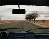 Jeff Brouws, Through Windshield, (Trees), Texas, 1993, Archival pigment print, printed 2007