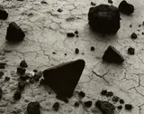 Brett Weston, Desert