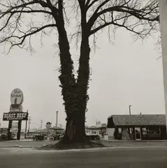 William Eggleston, Untitled, circa 1966-1968, Gelatin silver print