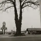 William Eggleston, Untitled, circa 1966-1968, Gelatin silver print