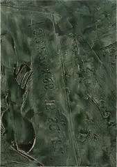 Daniel Lefcourt, Cast (Terrain), 2013, PBK31 (perylene green-black) pigment and urethane binder on canvas