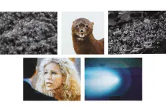 Roni Horn, Piece (2), 1997-1998, Iris printed photograph on Somerset paper, in 5 parts