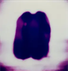 Touch by Michal Rovner, 1999, chromogenic print, face-mounted to acrylic, sold Mar 2024