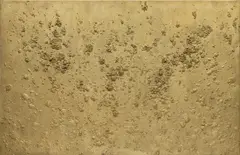 Bosco Sodi, Untitled, 2015, pigment, natural fibers, wood pulp and glue on canvas