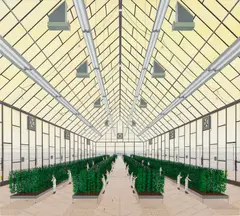 Ian Davis, Facility, 2019, acrylic on panel