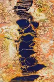 Mark Flood, Riviére Noire, 2012, acrylic on canvas