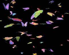 Jennifer Steinkamp, Ronnie Reagan, 1, 2009, video installation