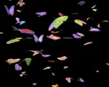 Jennifer Steinkamp, Ronnie Reagan, 1, 2009, video installation