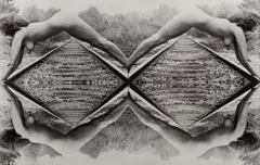 Carolee Schneemann, Parallel Axis, 1973, 4 gelatin silver prints collaged on museum board