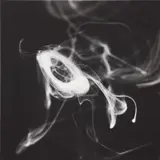 Donald Sultan, Smoke Rings, Feb 14