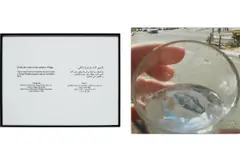 Emily Jacir, Where We Come From (Omayma), 2002–2003, chromogenic print and printed wall text, in 2 parts
