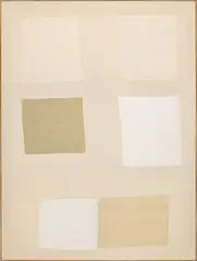 Ethan Cook, Untitled, 2013, handwoven cotton sewn canvas, in artist's frame