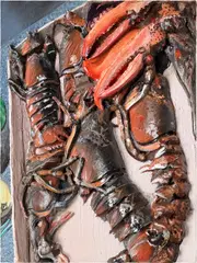 North Fork Lobsters by Gina Beavers, 2014, acrylic and modeling paste on canvas, sold Sep 2024