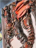 Gina Beavers, North Fork Lobsters, 2014, acrylic and modeling paste on canvas