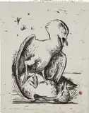 Walton Ford, Untitled (two birds)