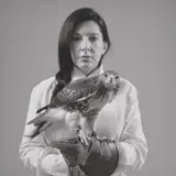 Marina Abramović, Portrait with Falcon