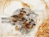 Albert Oehlen, Antiques