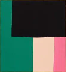 Ethan Cook, Untitled, 2018, hand-woven sewn cotton canvas, in artist's frame