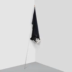 Reena Spaulings, Flag 2, 2005, plastic tub and liquid glass on poly wood, fabric, photocopies and aluminum pole