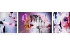 Marilyn Minter, Cuntrol, 2020, dye sublimation print, in 3 parts