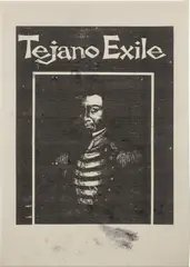 Tejano Exile by Oscar Murillo, 2015, screenprint and acrylic on fabric, offered Dec 2024