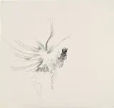 Julie Mehretu, Untitled