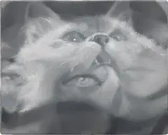 Julia Maiuri, House Cat, 2022, oil on canvas