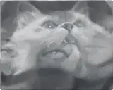 Julia Maiuri, House Cat, 2022, oil on canvas