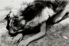 Ana Mendieta, Dog, 1974, gelatin silver print