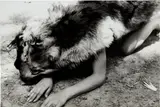 Ana Mendieta, Dog