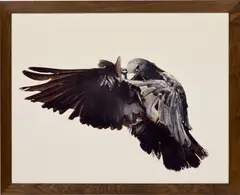 Pigeon by Roe Ethridge, 2001, chromogenic print flush-mounted to Dibond, in artist's frame, sold Mar 2023