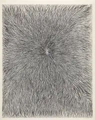 Tara Donovan, Untitled, 2006, relief print from rubber band matrix on paper