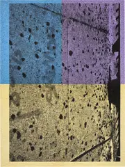 Adam McEwen, Untitled, 2015, inkjet print on cellulose sponge, mounted to aluminum