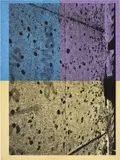 Adam McEwen, Untitled, 2015, inkjet print on cellulose sponge, mounted to aluminum