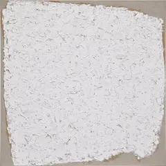 Robert Ryman, Mark, 2002, oil on linen