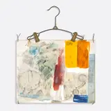 Robert Rauschenberg, Bath, 1964, oil and solvent transfer on Plexiglas with wire, string and metal clothes hanger