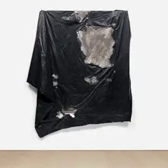 David Hammons, Untitled, mixed media
