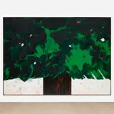 Harold Ancart, Untitled