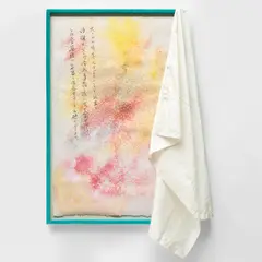 David Hammons, Untitled (Kool-Aid drawing #1), 2004, Kool-Aid powdered drink on paper with silk curtain, in artist's frame