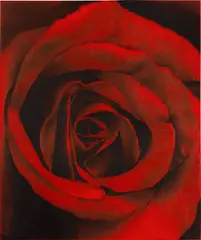 Study for Ophelia #26 by Robert Longo, 2011, ink and charcoal on vellum, sold May 2023