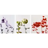 James Welling, Three works from Flowers : (i) #017 ; (ii) #020 ; (iii) #031