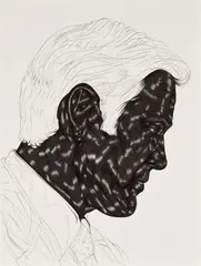 The Treatment 31 by Toyin Ojih Odutola, 2015–2016, pen ink, gel ink and pencil on paper, sold May 2023